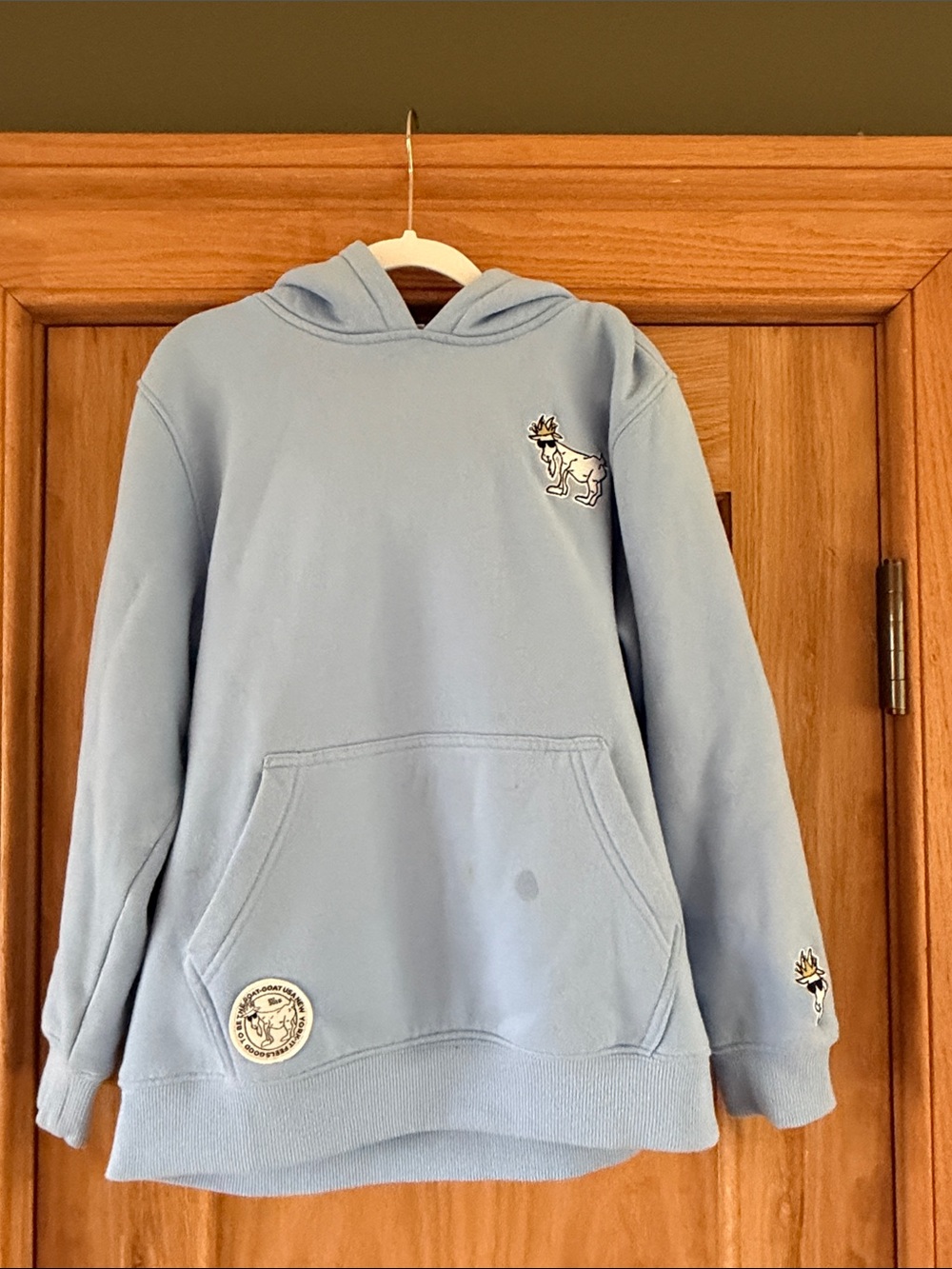 GOAT USA Youth size L Light Blue Hoodie.